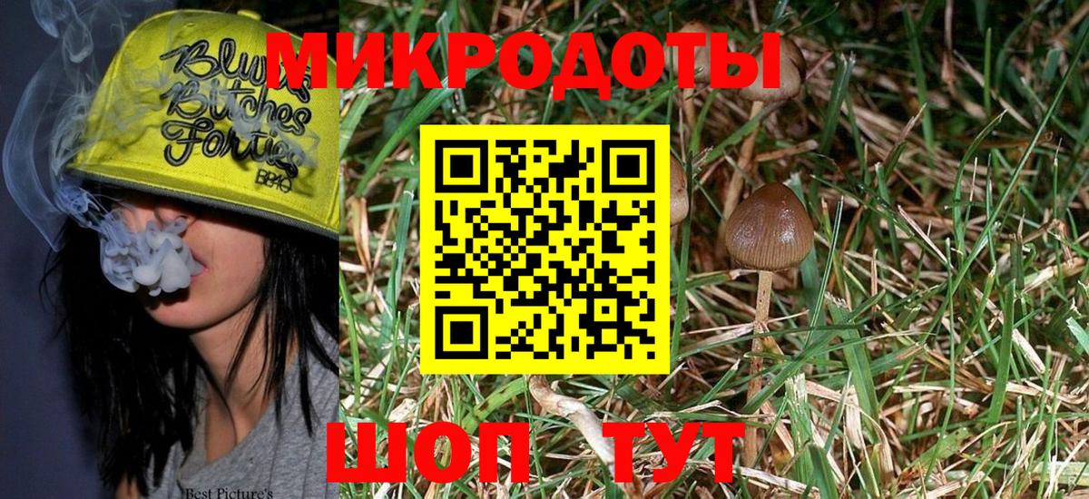 Псилоцибиновые грибы Cubensis Звенигород