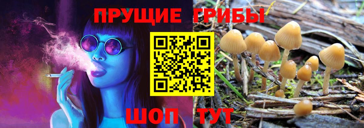 Галлюциногенные грибы GOLDEN TEACHER  Галлюциногенные грибы ЛСД  Звенигород  Вход с VPN 